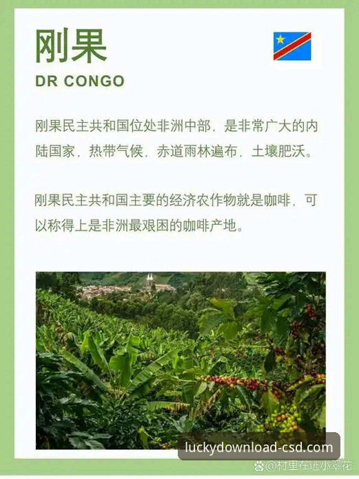 财神到APP最新版本对比 揭秘民主刚果52年圆梦之路:一场绝杀背后的数据与体验深度解析